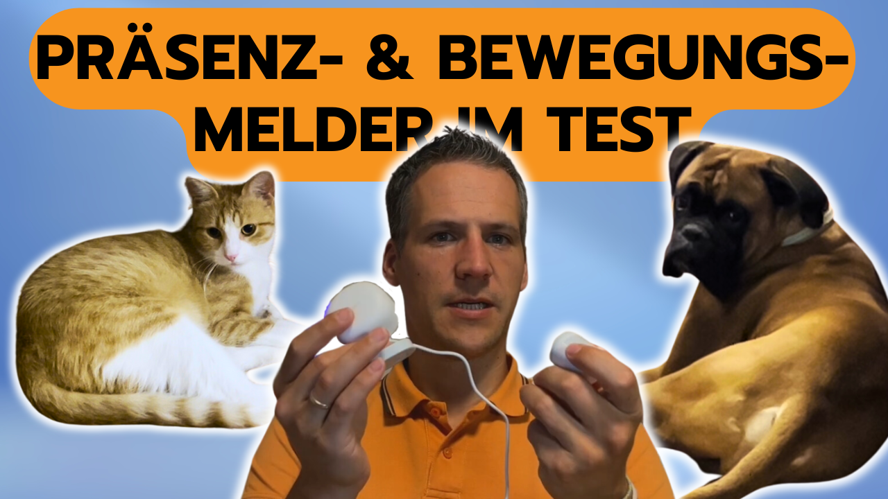 Präsenz- und Bewegungsmelder im Test mit Hund und Katze